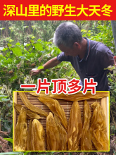 爷爷深山纯野生天冬500g中药材特级泡酒麦冬天门冬正品去皮干品