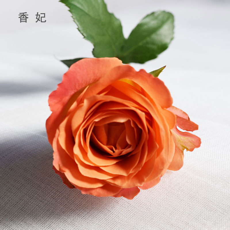【香妃玫瑰】昆明基地批发 橙色玫瑰花鲜切花 插花装饰鲜花直发