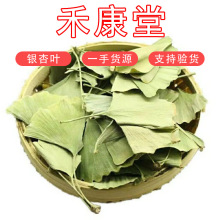 银杏叶干叶选货均匀绿银杏叶批发散货花茶原料1kg ginkgo leaves