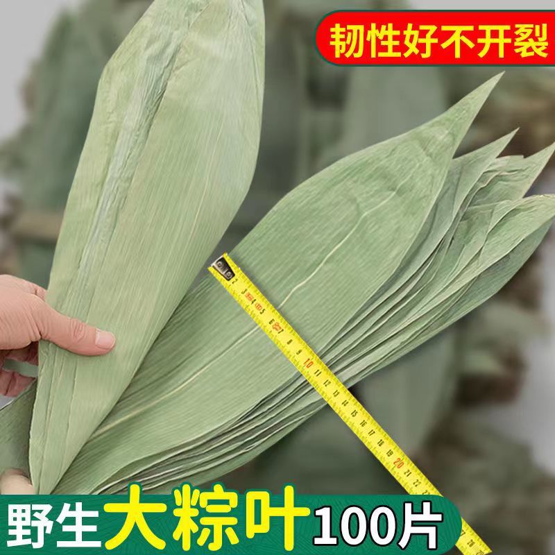 粽叶干粽叶大号/湿/任选大叶家用批发包粽子特大粽子批发一件批发