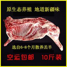 正宗新疆羊肉新鲜包邮半只羊生鲜羔羊肉烧烤羊排羊腿纯肉 特产