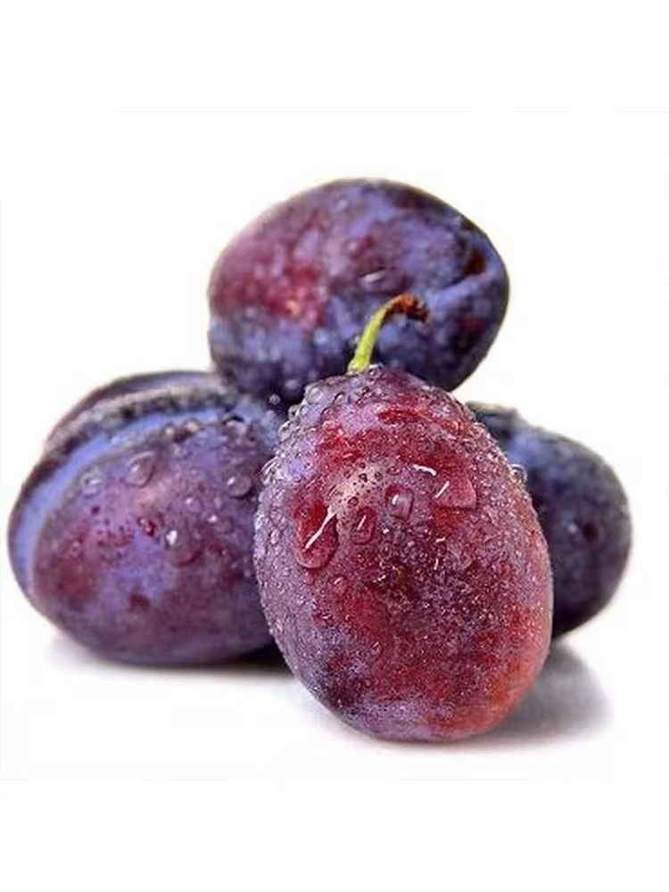 新疆法兰西西梅西梅现摘新鲜水果酸甜3斤5斤装顺丰 一件