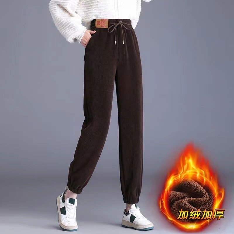Thick Lambskin Pants Autumn and Winter 2023 Fleece-Lined Warm and Loose Slimming High Waist Leisure Tappered Harem Pants for Women