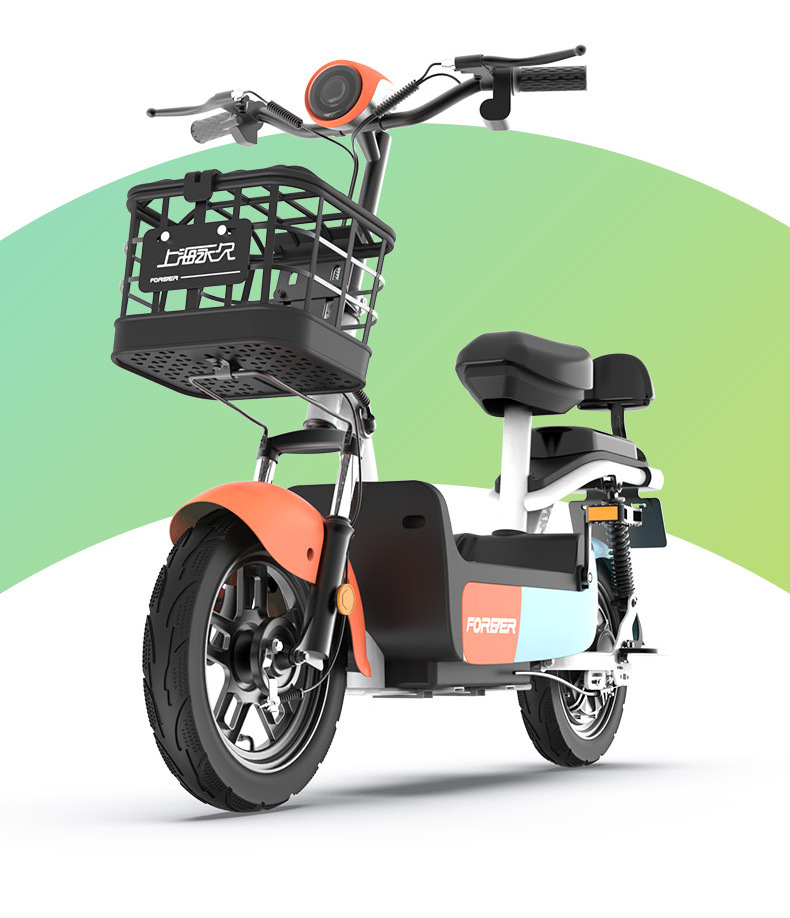 上海永久牌电动车男女单双人电瓶车电动自行车成人48v