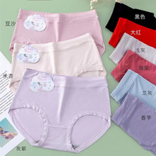 中大版莫代尔简版纯色透气内裤中腰女士三角裤普宁批发2030