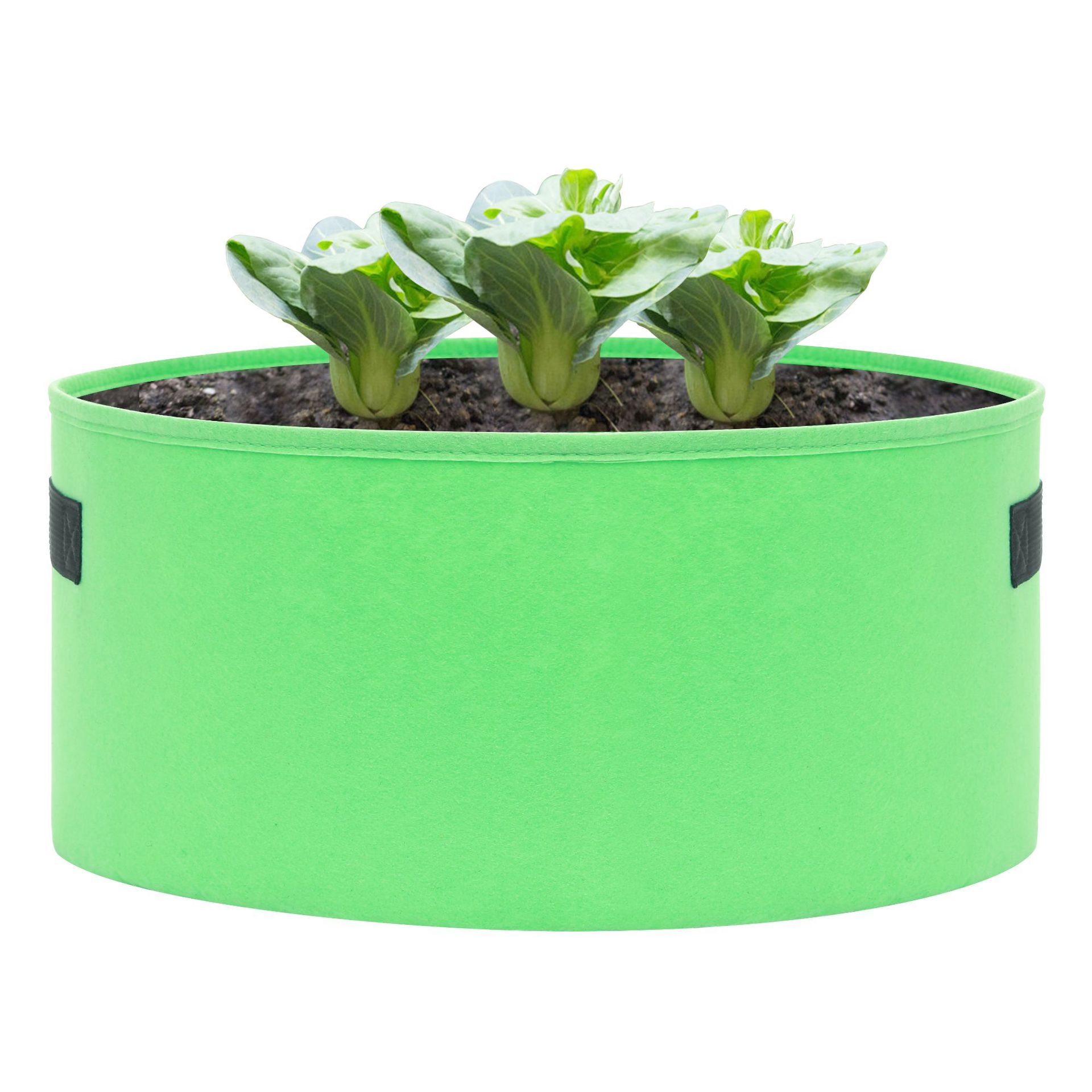 园林隔根带阻隔隔离条挡层板修边绿化挡水条收边条挡水板花池校园