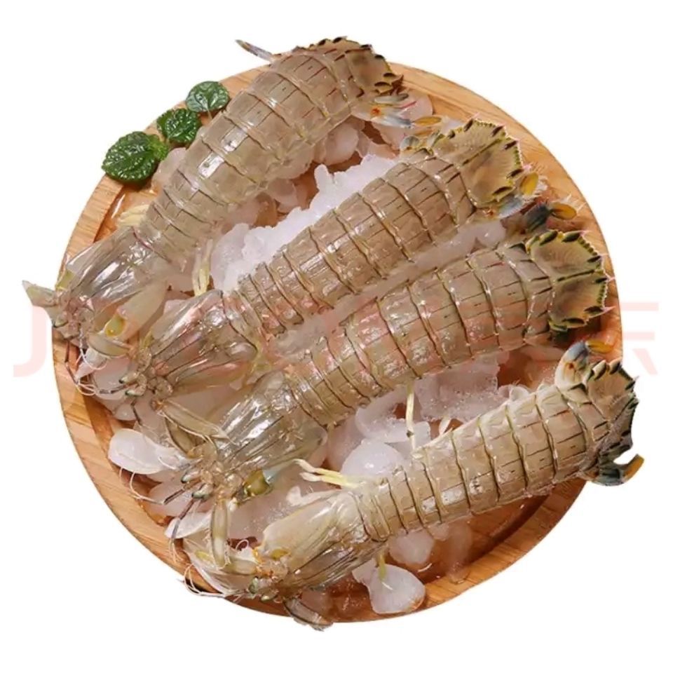 《新店》新鲜熟冻皮皮虾虾婆虾姑虾爬子,海鲜批发