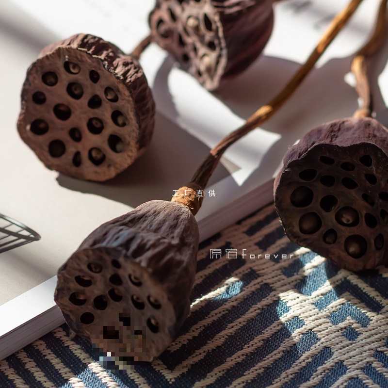 批发天然真杆小莲蓬干花复古禅意插花干树枝家居客厅民宿软装装饰