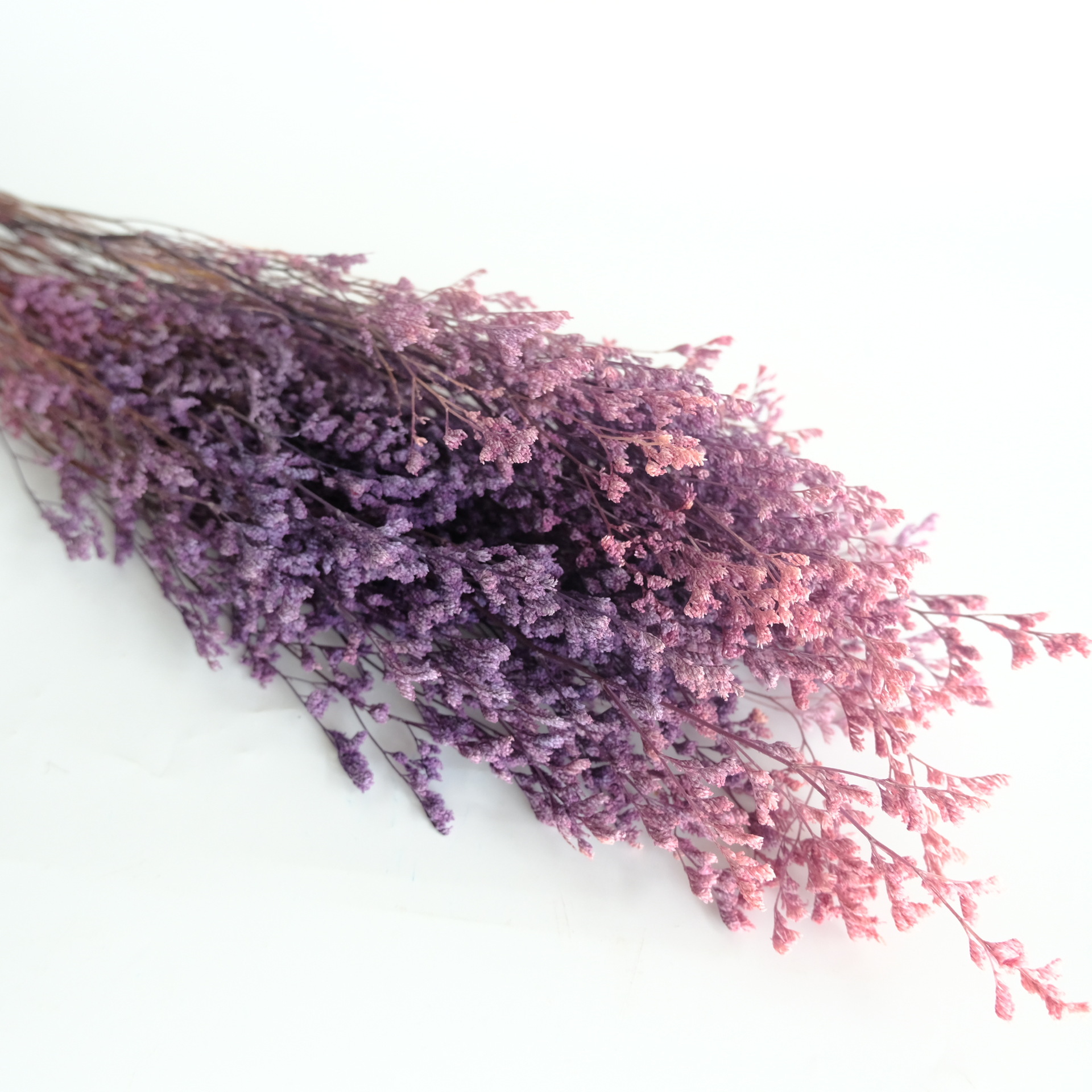 量大从优长度:60cm-80cm规格:100g/束漂色情人草需要其他颜色请联系