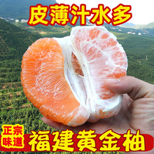 平和黄肉蜜柚福建琯溪黄心柚子当季新鲜水果非三红柚5-10斤