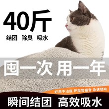 猫砂膨润土除臭无尘40斤10公斤20kg猫沙柠檬味吸水活性炭宠物用霜