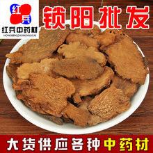 锁阳批发中药材锁阳 锁阳片 沙漠人参肉苁蓉承接大货量大从优