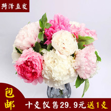 辽宁基地直发应季重瓣芍药鲜花单瓣油牡丹鲜切花水养花客厅包邮
