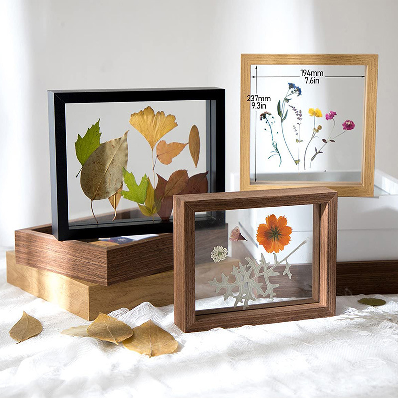 Double-Sided Glass Photo Frame Table Setting Plant Specimen Box Photo Frame European Creative Picture Frame