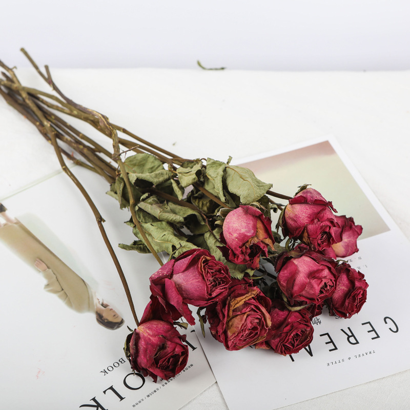 干花花束玫瑰真花风干网红北欧风客厅卧室摆件小文艺香槟玫瑰花