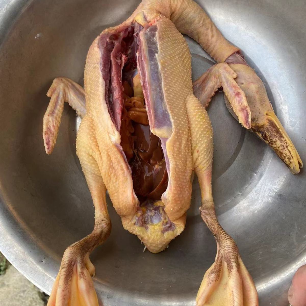 【三年老鸭】散养土鸭子肉鸭现杀鸭肉活板鸭鸭腿鸭肠麻鸭