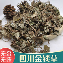 金钱草 中药材批发金钱草500g  量大从优