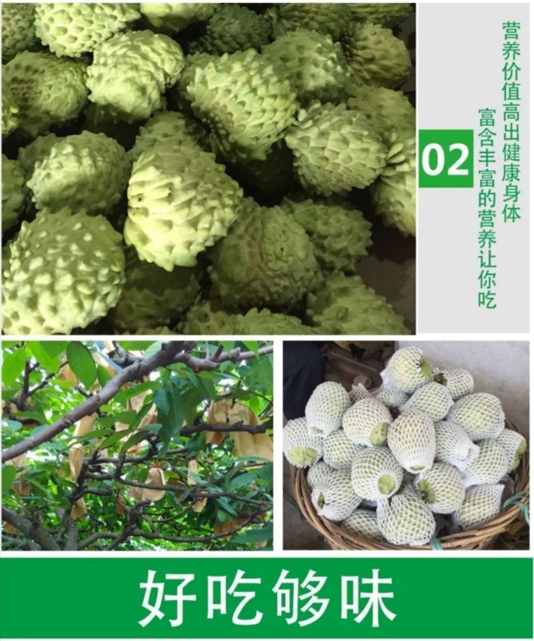 台湾凤梨释迦果牛奶佛头果番荔枝林樆果新鲜产地直销孕妇水果