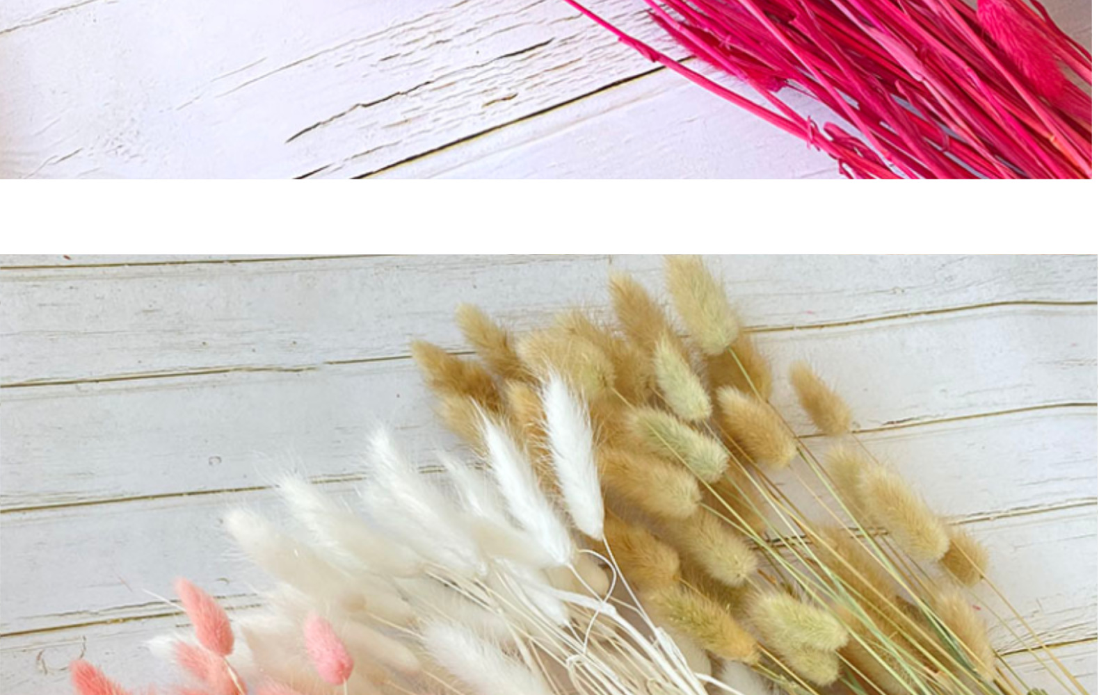 云南干花兔尾草染色狗尾巴草一束30支家居婚庆摆件装饰花