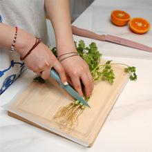 省事省时更便捷家用一次性厨房切菜板垫水果餐点可裁剪擀面砧板
