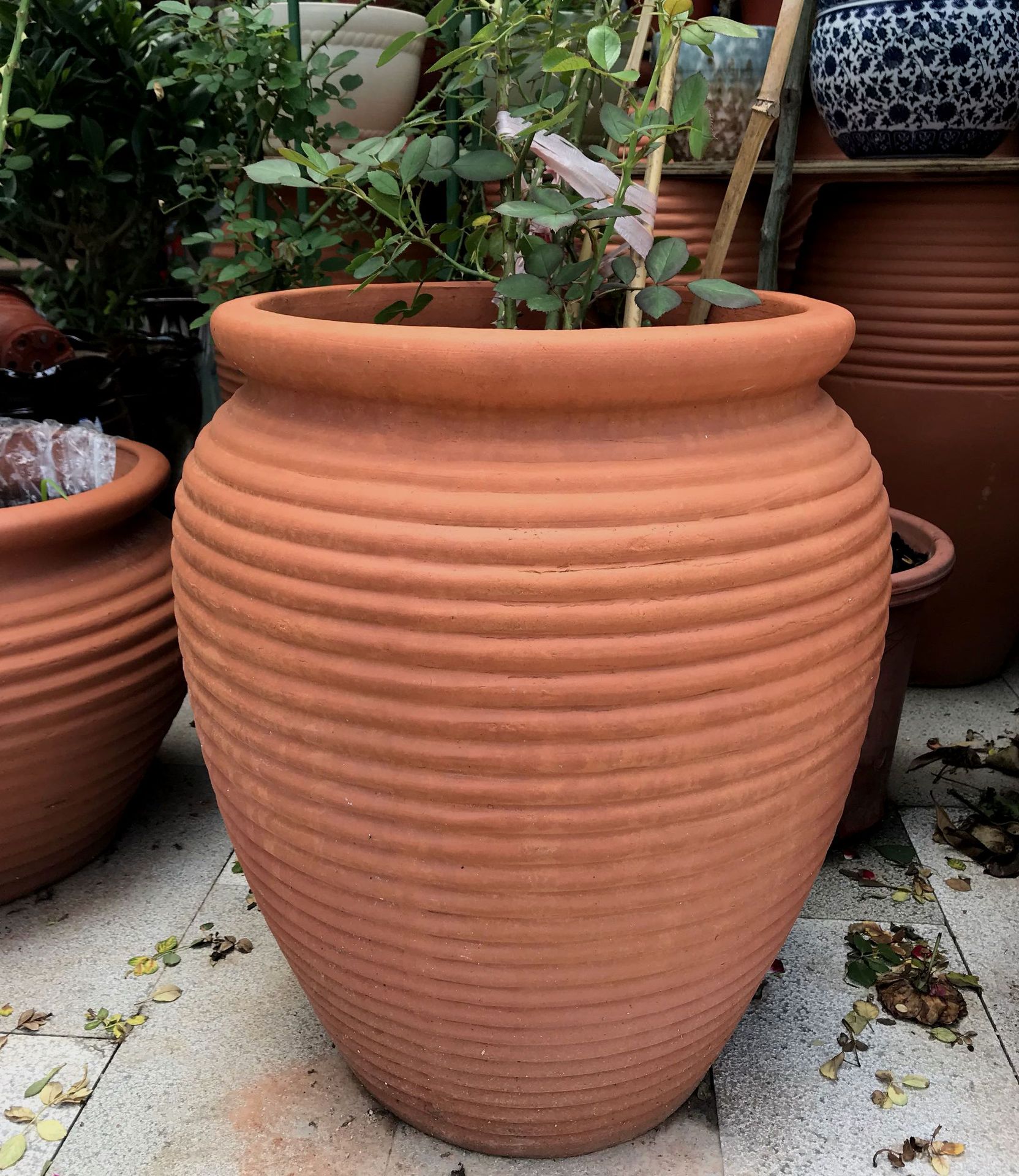 园艺红陶土花盆景观陶罐欧式大口陶瓷花瓶阳台别墅粗陶大花盆摆件