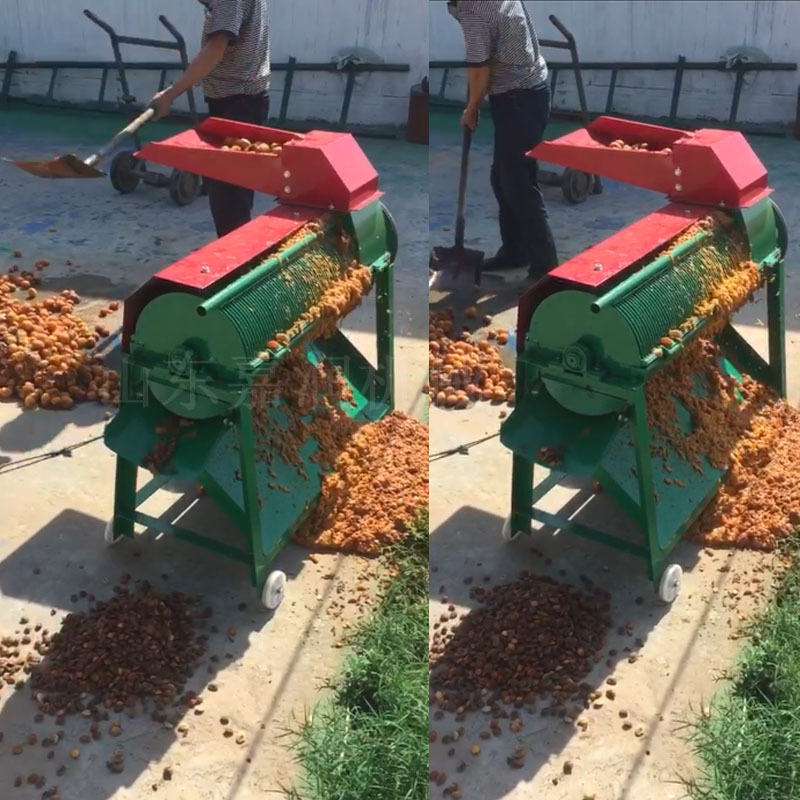 家用小型桃核机 果肉分离机 杏核机 水蜜桃去肉留核机-阿里巴巴