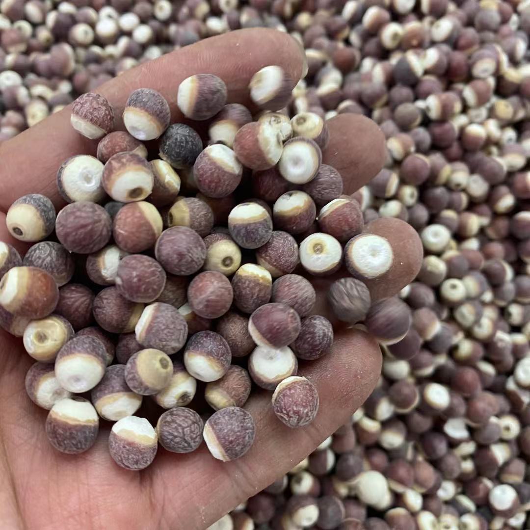 生芡实整个圆形芡实1斤 芡实米散装批发低温烘焙芡实煲汤原料芡实