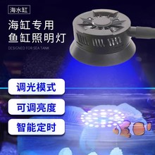 海缸灯led海水鱼缸灯小丑鱼珊瑚专用可调光定时蓝白补光造景夹灯
