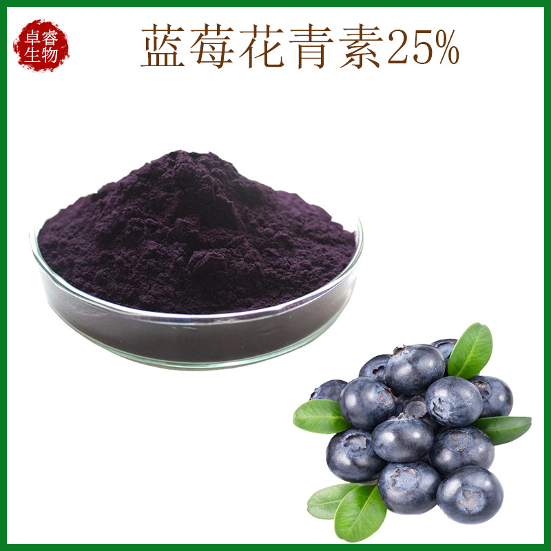 蓝莓提取物蓝莓花青素25欧标蓝莓粉花色苷100g袋现货供应
