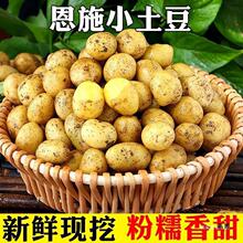 湖北武穴特产佛手山药淮山佛掌山药新鲜现挖净重5斤_阿里巴巴找货神器