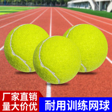 源头货源艾迪森网球初学者高弹性耐打训练网球耐磨带线网球专用按