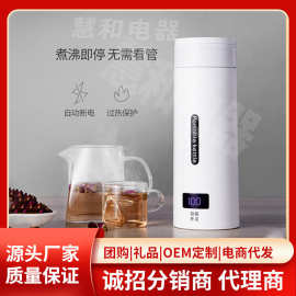 跨境爆款电热杯旅行出差办公室烧水杯便携式小型迷你家用烧水壶