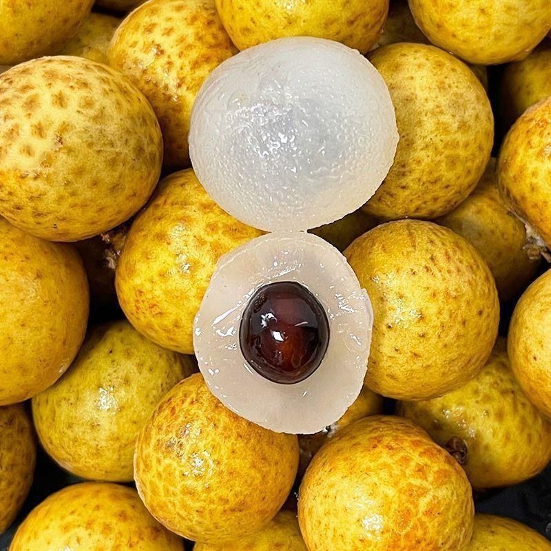 龙眼现摘鲜2斤5斤10斤大颗粒应季新鲜水果桂圆批一件代发跨境厂家