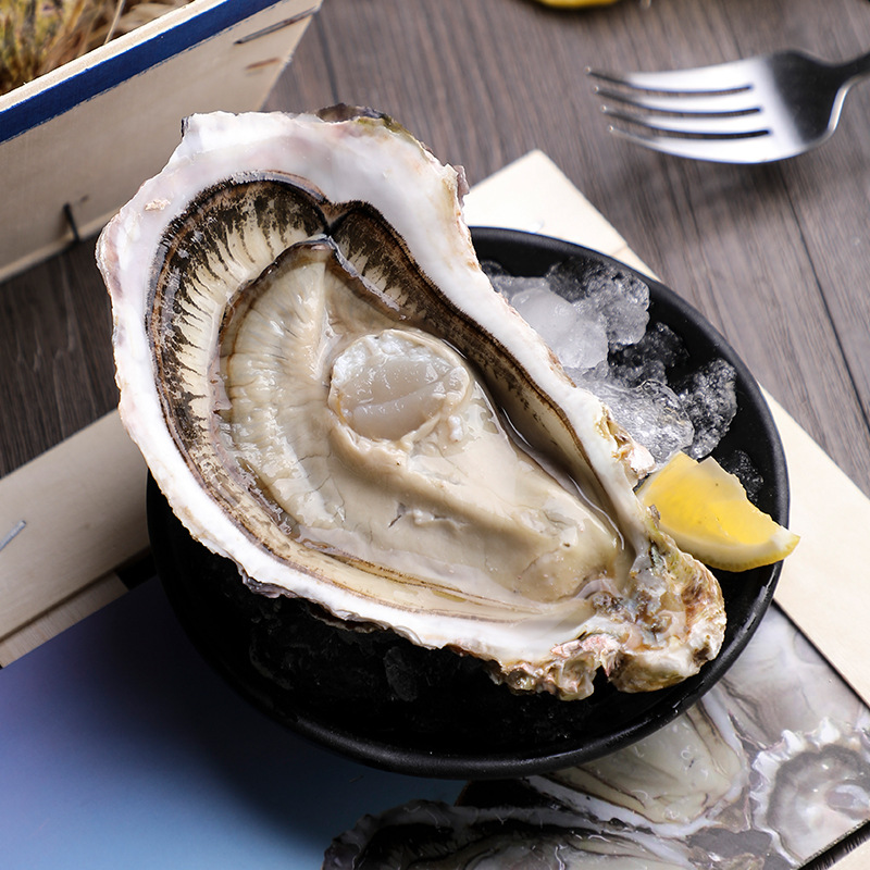 美国泰勒珍宝生蚝餐厅供应 进口生蚝大量批发 海鲜批发生蚝招代理