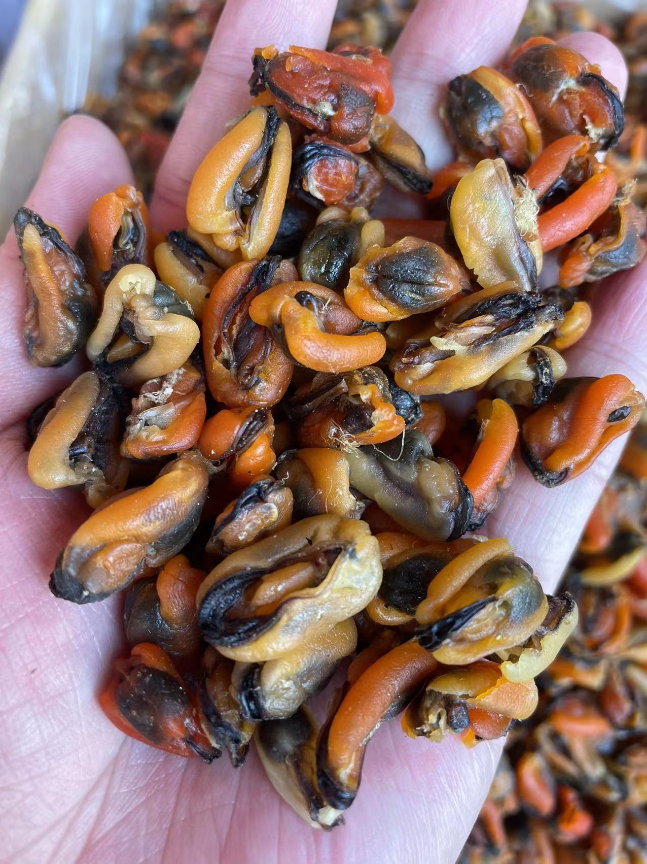 大连淡菜 30斤/件-阿里巴巴