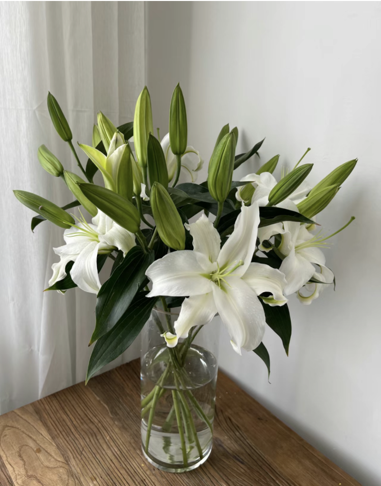 香水百合花 家用办公室供佛水养鲜花上海发货江浙沪皖2扎顺丰包邮