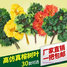 榕树叶过胶塑料榕树枝绿色植物银杏红枫叶子假树枝装饰造景绢花