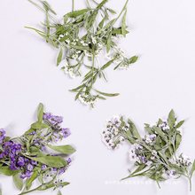 香雪球带枝本色 压花手机壳压花画 植物标本干花押花书签脸部装饰