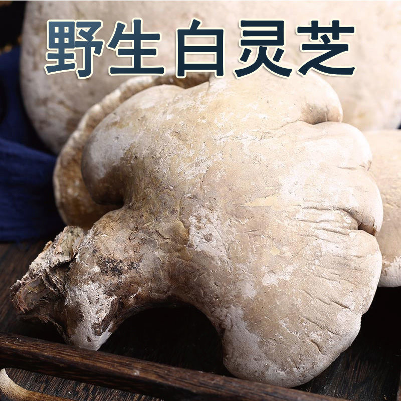 白灵芝 云南深山整个野灵芝白肉芝 免费切片磨粉