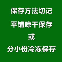 东北农家自产玉米大碴子粘玉米渣5斤黏粘苞米糯玉米大碴粥