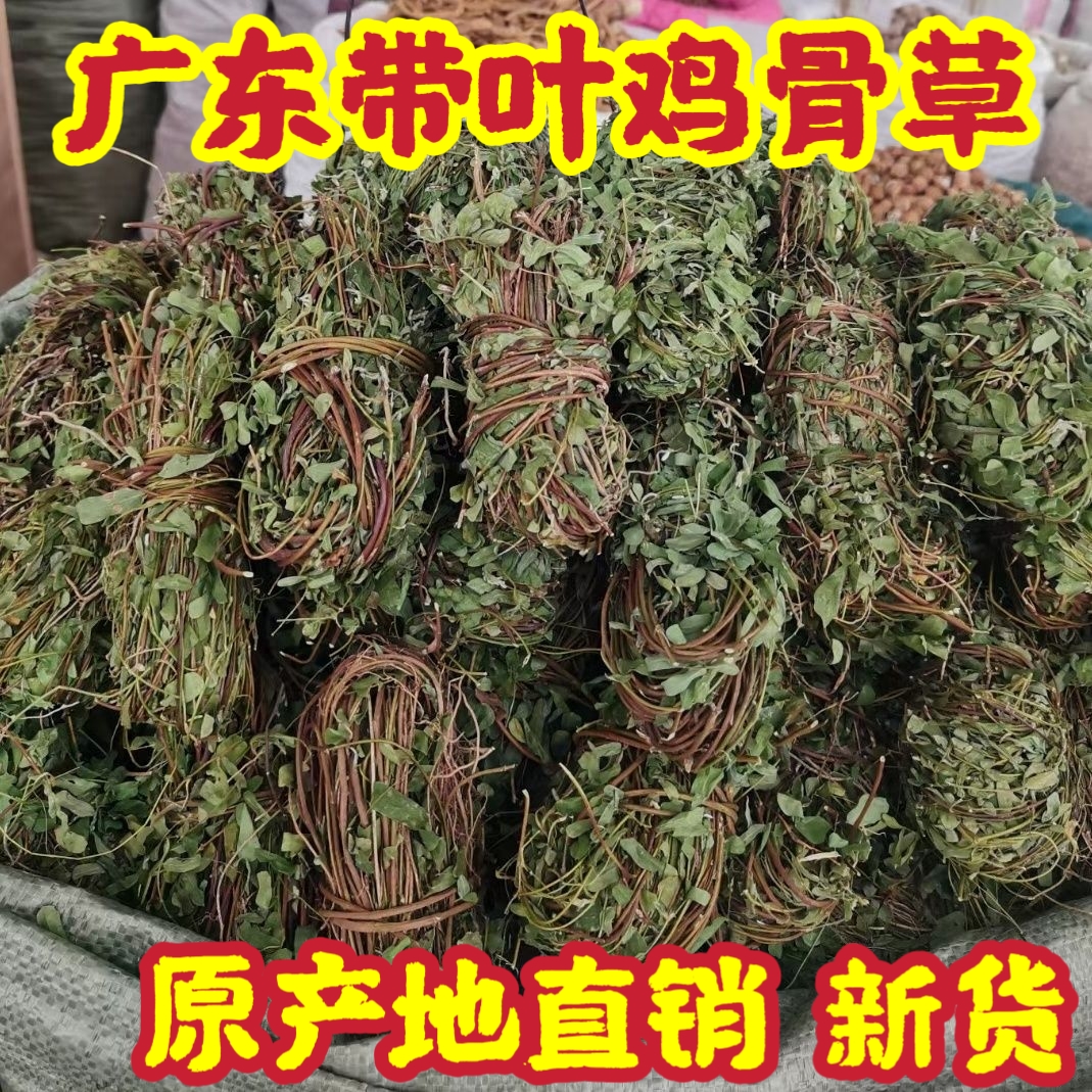 广东野生鸡骨草500克带叶干货材泡茶煲汤料新鲜无硫包-阿里巴巴