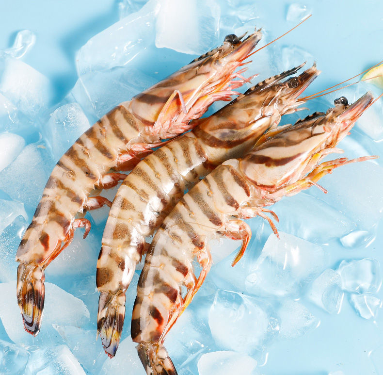 舟山野生竹节虾海虾新鲜九节虾斑节虾虾子大虾鲜活黑虎虾海鲜水产