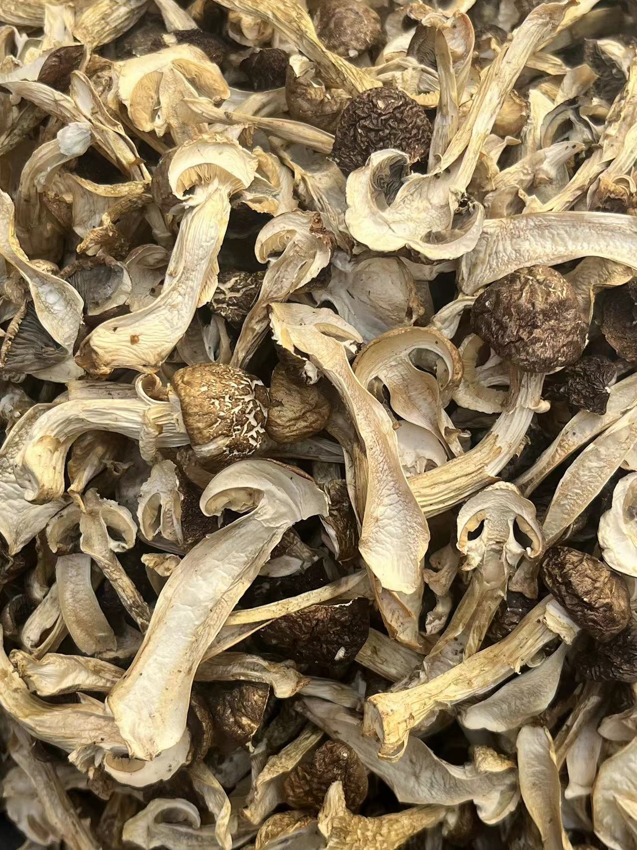 干货散装赤松茸片野生赤松茸新鲜赤松茸菌汤包松茸产地