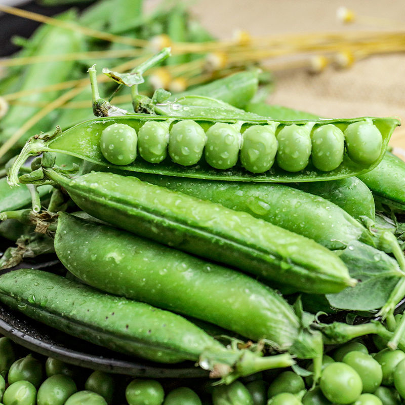 【应季蔬菜】现摘新鲜豌豆蔬菜带壳糯嫩青豆荚水果整箱非荷兰豆甜