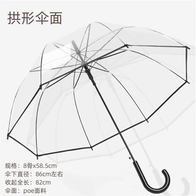 Evo Transparent Green Umbrella Customized Long Handle Umbrella Customized Automatic Umbrella Advertising Umbrella Gift Transparent Straight Rod Umbrella Wholesale