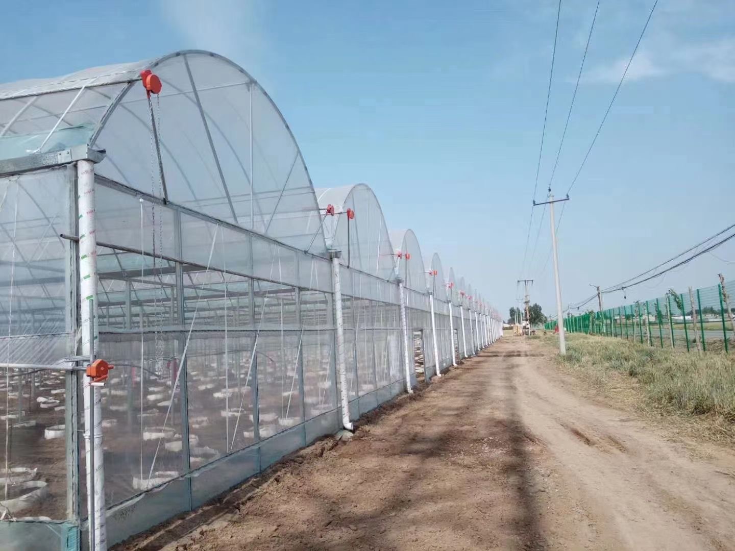 无锡泽沃钢管厂家 镀锌管 镀锌大棚镀锌钢管 连栋大棚钢管