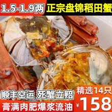 8两 特大螃蟹鲜活河蟹海鲜送礼盒装_阿里巴巴找货神器