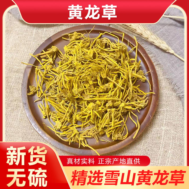 青藏高原雪山黄龙草根头含须条野生根茎龙须草根茶材-阿里巴巴