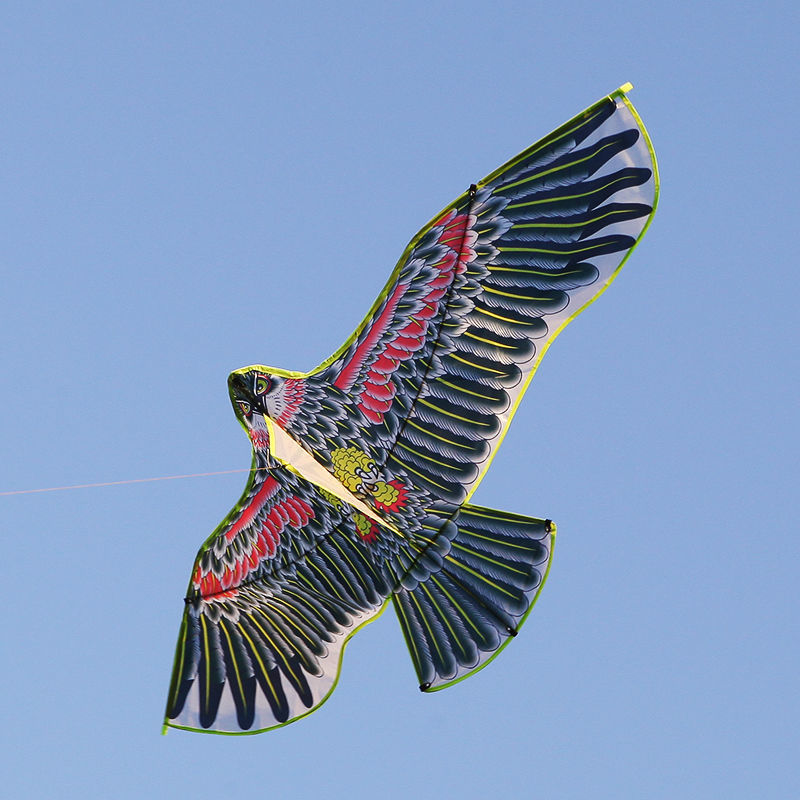 老鹰风筝批发吓鸟新款大烫金立体潍坊成人卡通三角微风易飞赠线轮