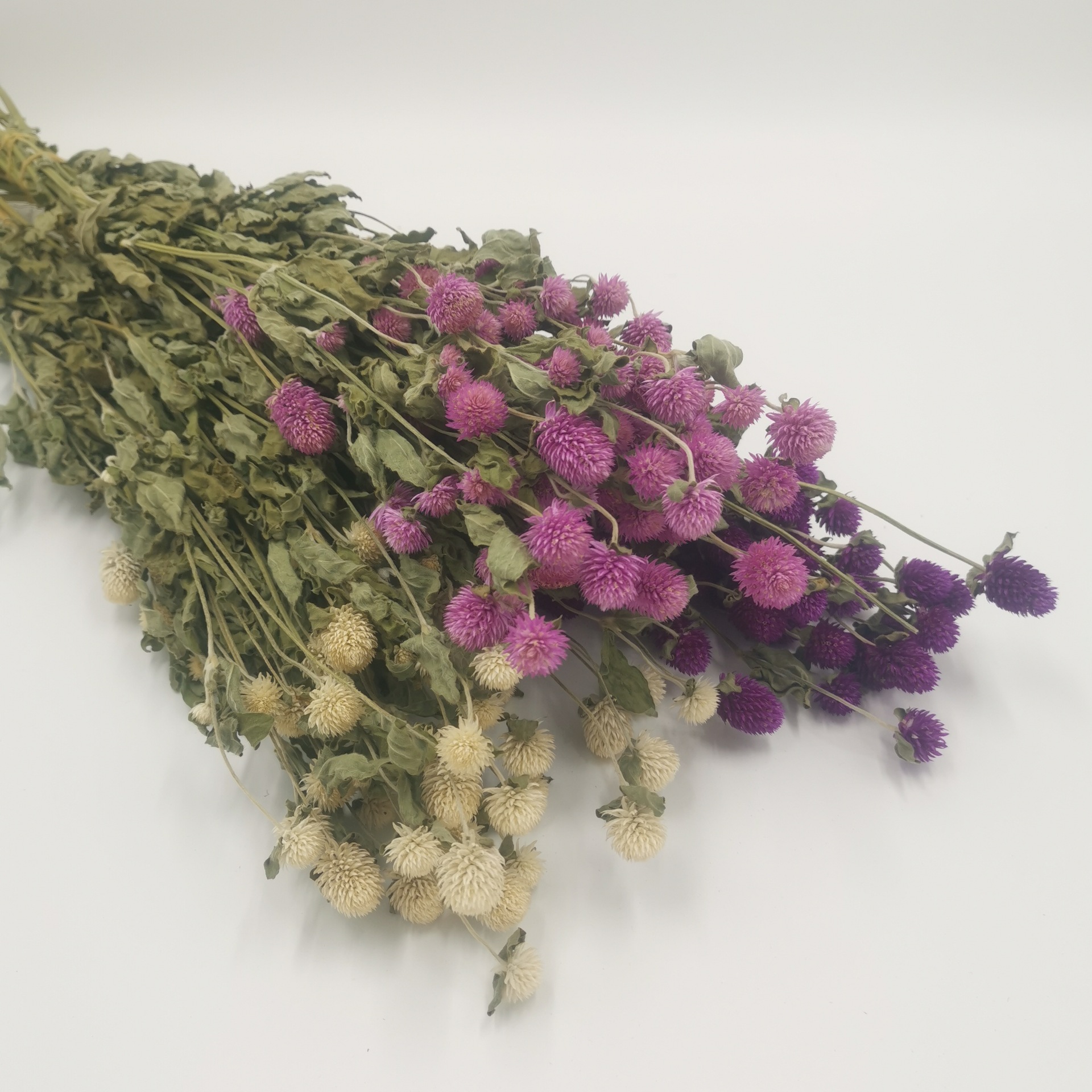 千日红干花花束永生花云南干花插花diy花环花材配花配草基地直销